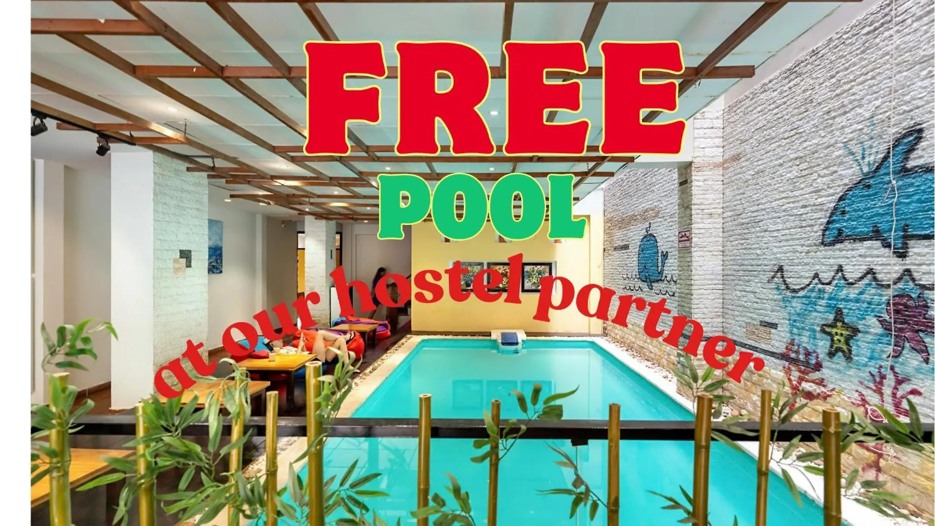 Hostel Backhome Hostel&Bar Hội An